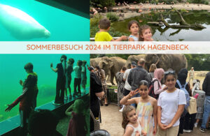LeseLeo - Blog - Zoo Hagenbeck 2024